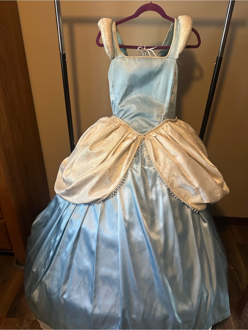 Cinderella Gown Costume